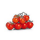 Rajčata Divino cherry datlová I. čerstv. 1x225g